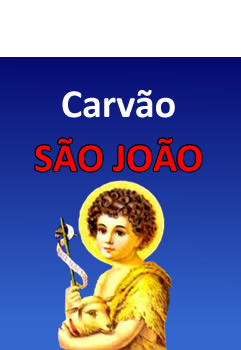 Carvão São João Jaboticabal SP