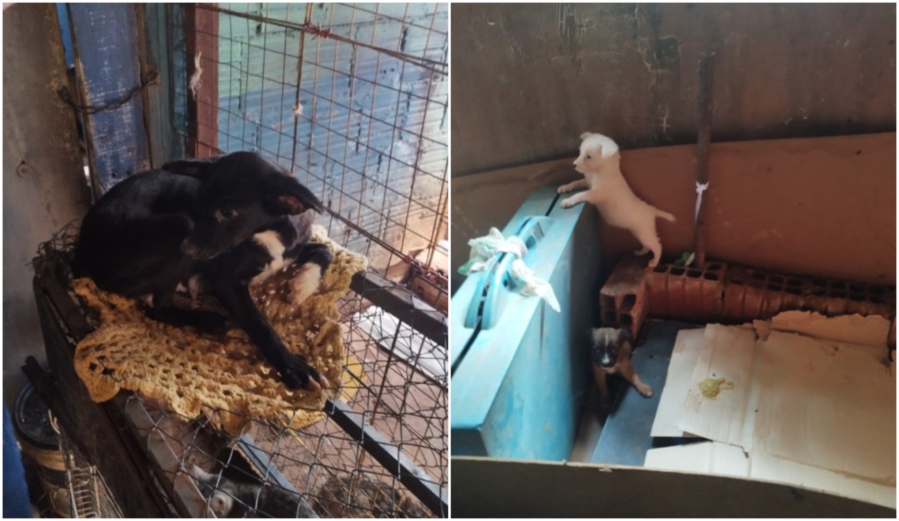 foto Not&iacute;cia Jaboticabal