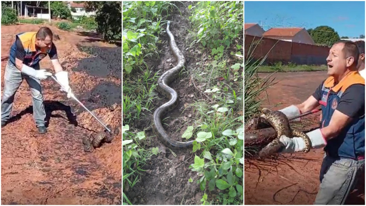 foto Not&iacute;cia Jaboticabal