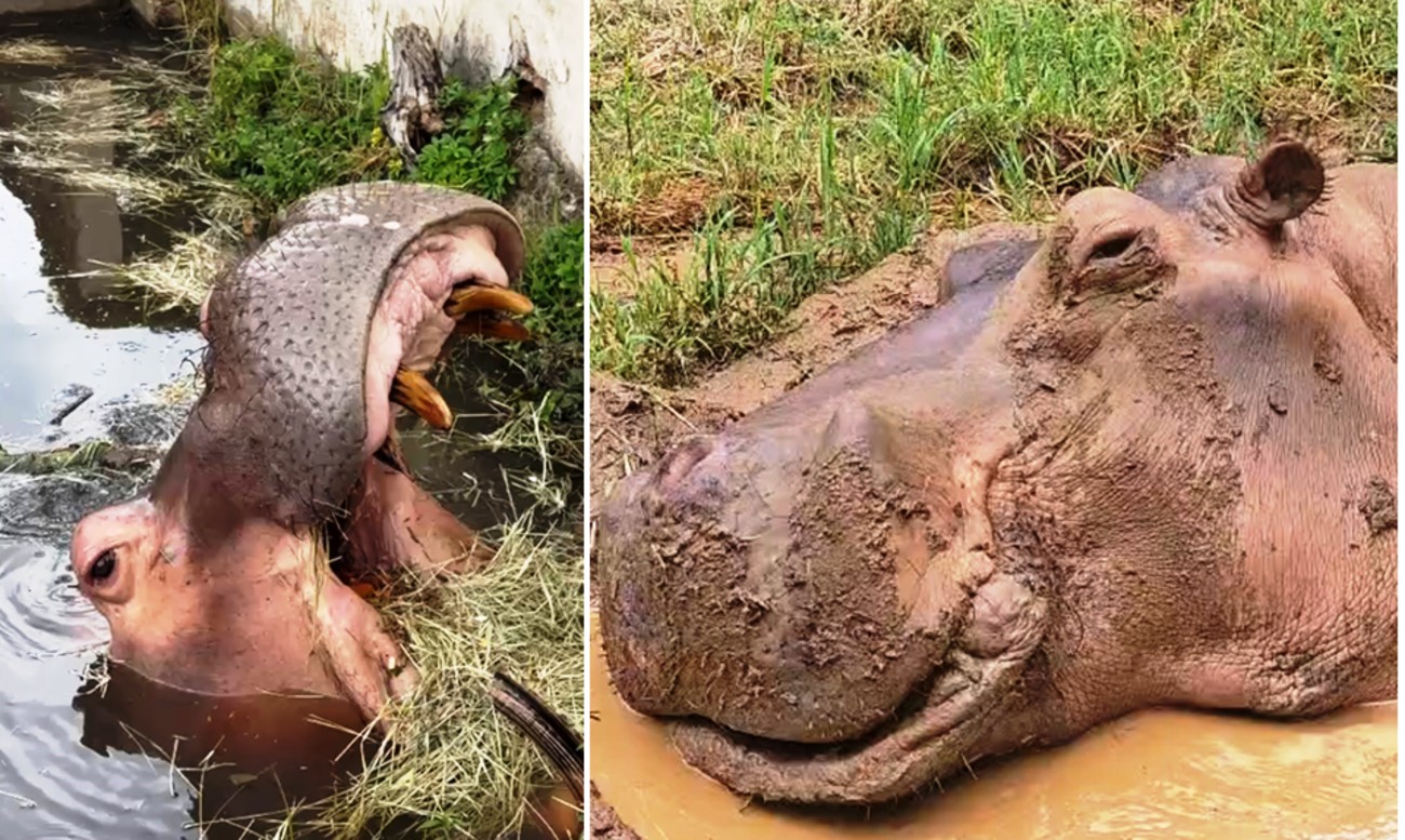 foto Not&iacute;cia Jaboticabal