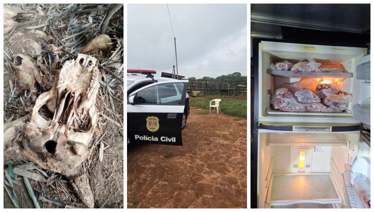 foto Not&iacute;cia Jaboticabal